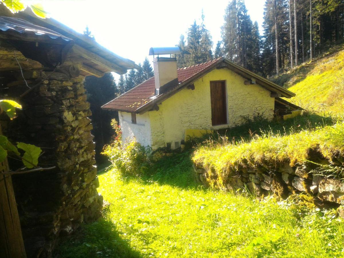 Appartement Casa Lausen à Canal San Bovo Extérieur photo
